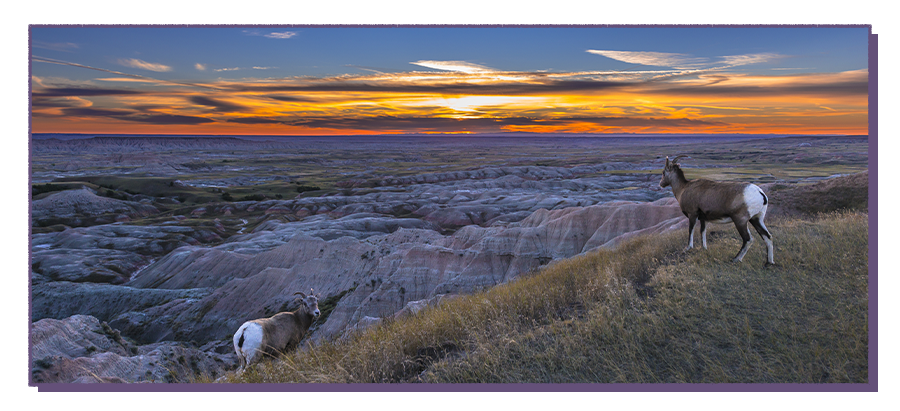 North Dakota landscape