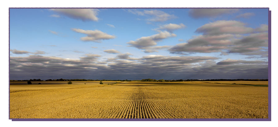 Nebraska fields